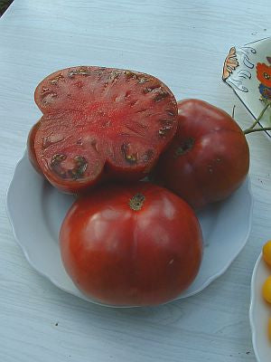 TOMATO 'BLACK KRIM'