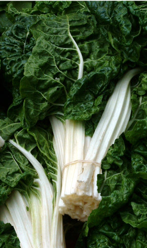 SILVERBEET ‘Fordhook Giant’