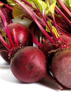BEETROOT ‘Detroit Dark Red’