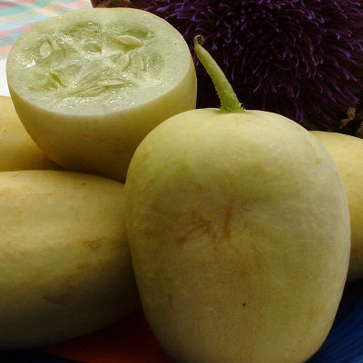 CUCUMBER Crystal Apple