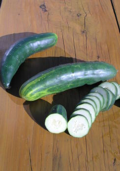 Cucumber Marketmore