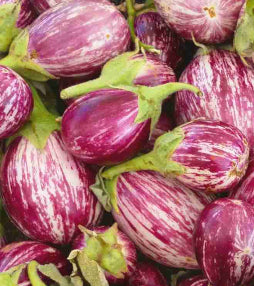 Eggplant Calliope