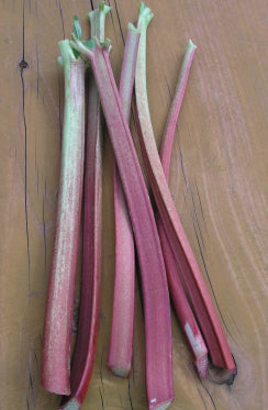 RHUBARB ‘Victoria’