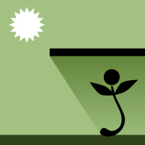 Sunlight: Full Shade