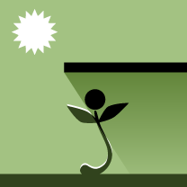 Sunlight: Part Shade