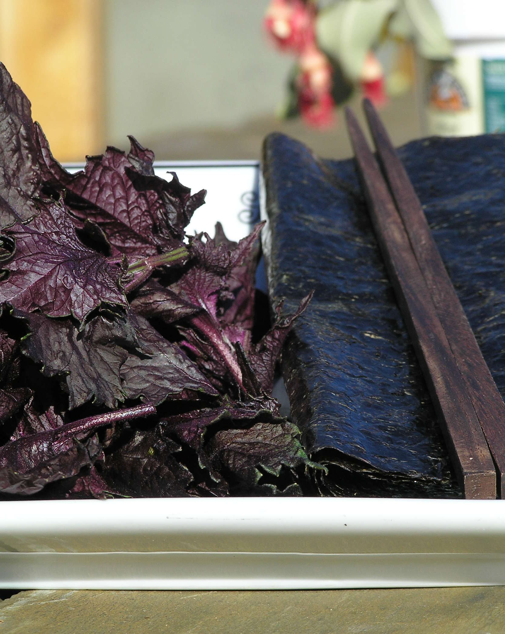 Shiso/Perilla ‘Red’