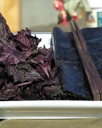 Shiso Red
