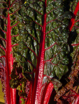 Silverbeet Ruby Red
