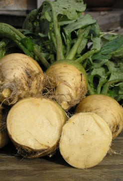 SWEDE ‘Tasmanian Butter’