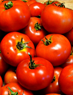 TOMATO 'Deutschler Fleiss'