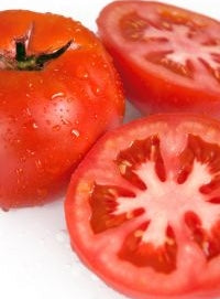 Tomato 'KY1'