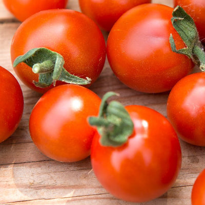 Tomatoa Lutsch