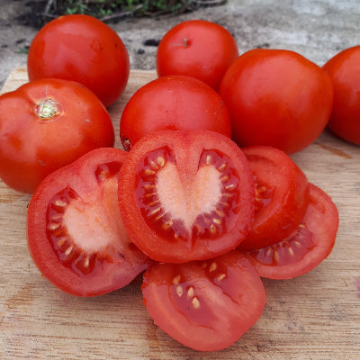 Tomato Siberian