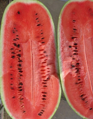 Watermelon_charleston
