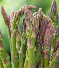 asparagus argentueil