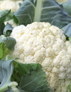 cauliflower snowball