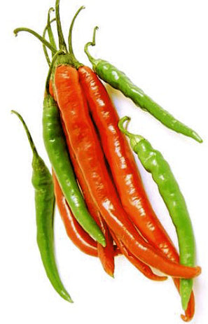 CHILLI ‘Hot Portugal’