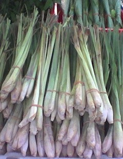LEMON GRASS