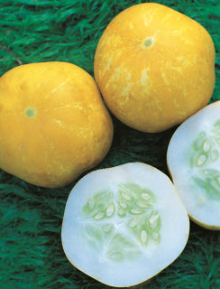 CUCUMBER ‘Crystal Lemon’