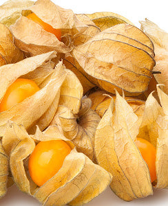 Cape Gooseberry Dwarf