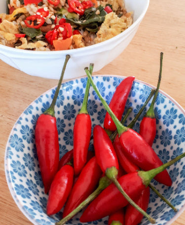 Chilli Thai Birdseye