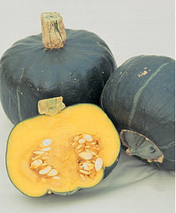 PUMPKIN ‘Buttercup’