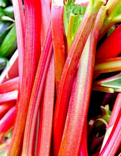 RHUBARB ‘Glaskins Perpetual’