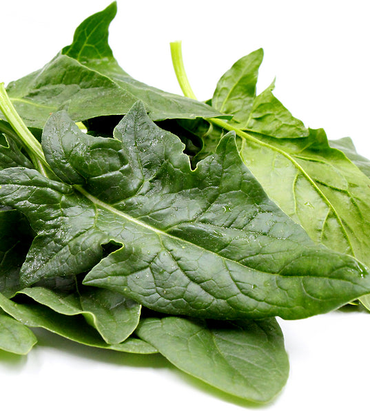 Spinach ‘Galilee’