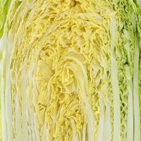 Chinese Cabbage Wong Bok