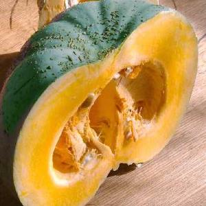 PUMPKIN 'Queensland Blue' - Cucurbita maxima