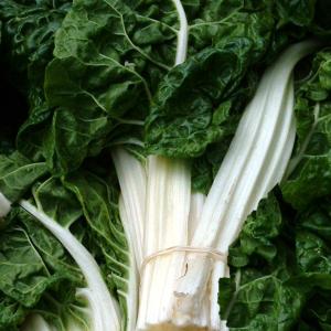 SILVERBEET ‘Fordhook Giant’ - Beta vulgaris