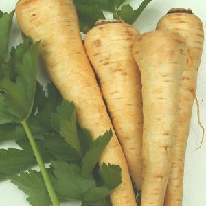 ParsnipHollowCrown