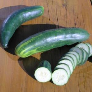 Raw Earth Colors English Cucumber Seeds for Planting Outdoors Home Garden - Burpless Hothouse Cucumber Seeds