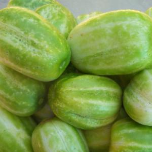 CUCUMBER ‘Richmond Green’ - Cucumis sativas