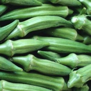 Okra ‘Clemson Spineless’ - Abelmoschus esculentus