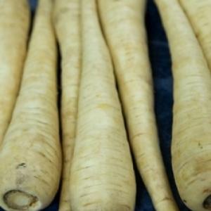 PARSNIP ‘Melbourne Whiteskin’ - Pastinaca sativa