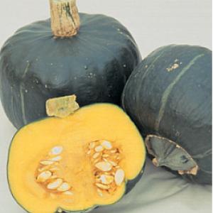 PUMPKIN ‘Buttercup’ - Curcurbita maxima