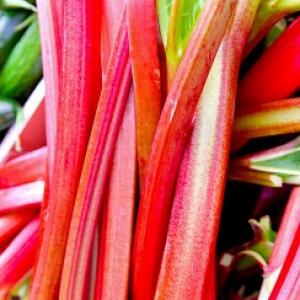 RHUBARB ‘Glaskins Perpetual’  - Rheum rhabarbarum