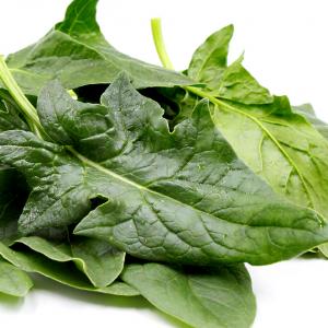 Spinach ‘Galilee’ - Spinacea oleracea