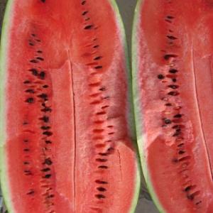  Watermelon ‘Charleston Grey’ - Cucumis melo