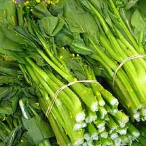 CHOI SUM (Choi-San) - Brassica rapa